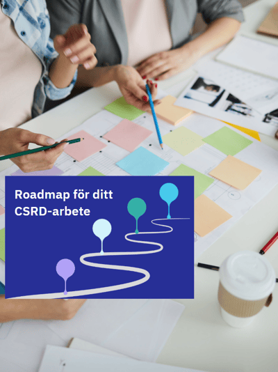 Roadmap for csrd work cover image