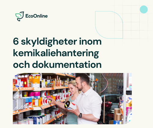 SE Image Webinar 6 skyldigheter 500x419px 2025